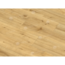 Виниловые полы Alpine Floor by Classen ламинат Pro Nature Mocoa 62536 купить в москве, Виниловые полы Alpine Floor by Classen ламинат Pro Nature Mocoa 62536 купить в москве,