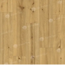 Виниловые полы Alpine Floor by Classen ламинат Pro Nature Soacha 62541 , Виниловые полы Alpine Floor by Classen ламинат Pro Nature Soacha 62541 ,