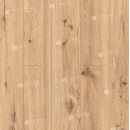 Виниловые полы Alpine Floor by Classen ламинат Pro Nature Oak Poprad 64634    , 