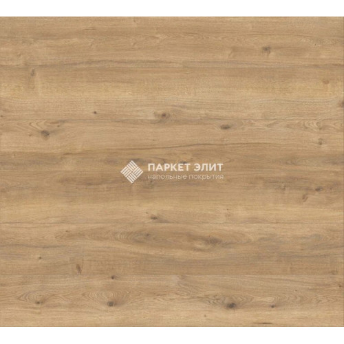 Ламинат Classen Trend 4V WR Дуб Торонто 1285х192x8    , Дуб