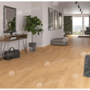 Виниловые полы Alpine Floor by Classen ламинат Pro Nature Oak Kisuca 64636   , 